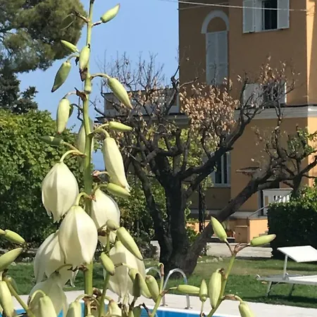 In Storica, Contesto Strepitoso *